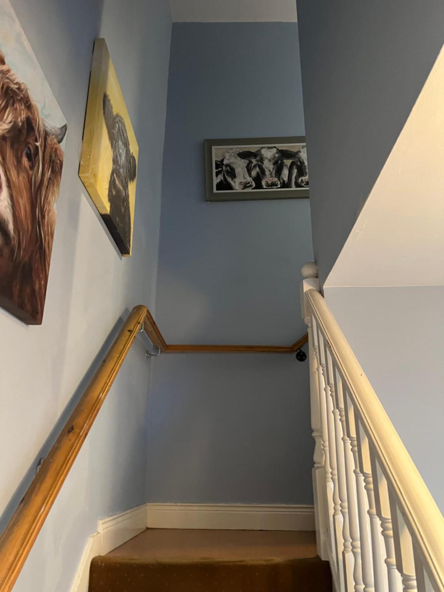 11 Parkmore Street, Ormeau Road, Belfast, Bt7 2Gt, 2 Bedroom House Zewnętrze zdjęcie